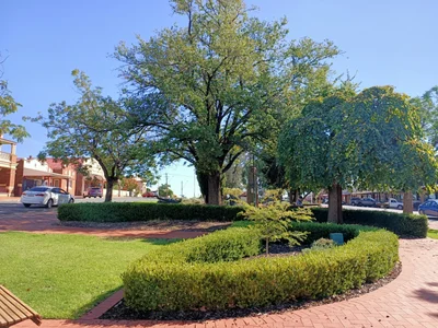 Coolamon - Photo 2