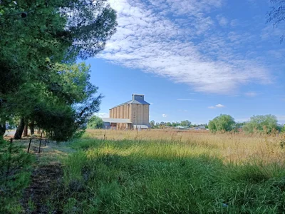 Coolamon - Photo 5