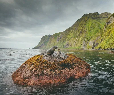 St Helena - Photo 3