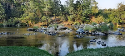 Los Reartes - Photo 4