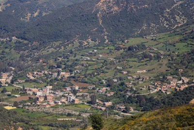 Hamman Melouane - Photo 3