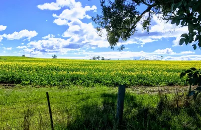 Colbinabbin - Photo 5