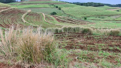 Clansthal - Photo 2