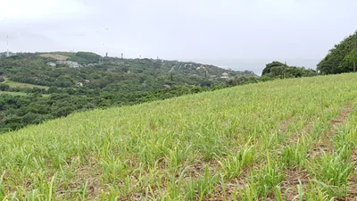 Clansthal - Photo 3