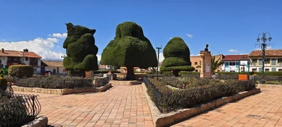 Topaga - Photo 5