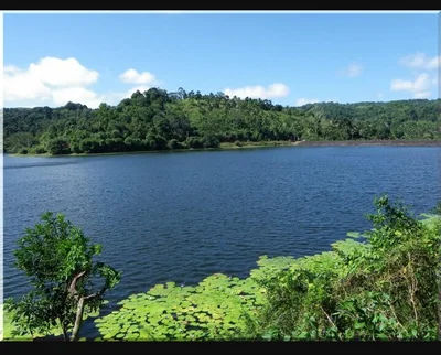 Tsingoni - Photo 5