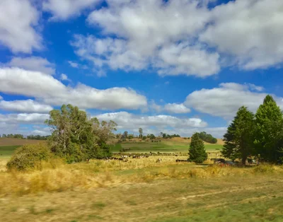 Elizabeth Town - Photo 3