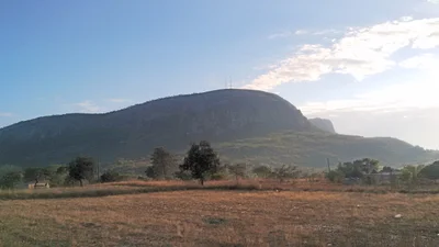 Makoni - Photo 4