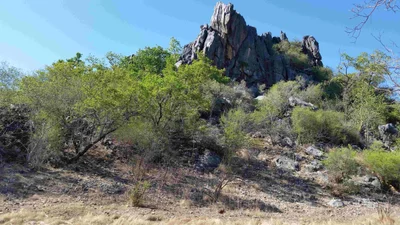 Chillagoe - Photo 2