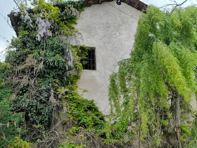 Cumiana - Photo 3