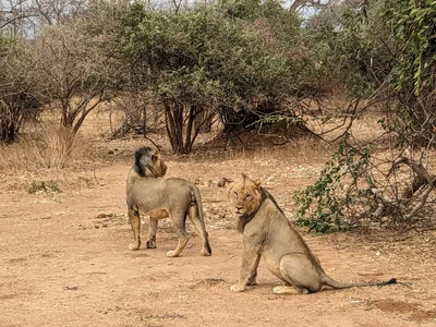 Lower Zambezi National Park - Photo 4
