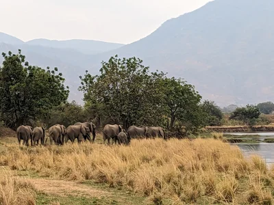 Lower Zambezi National Park - Photo 5