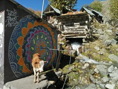 Chitkul - Photo 4
