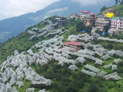 Chitkul - Photo 5