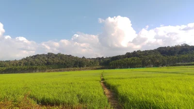 Kidanganad - Photo 3