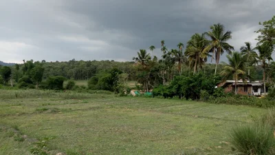 Kidanganad - Photo 4