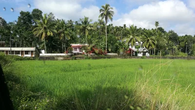 Kidanganad - Photo 5