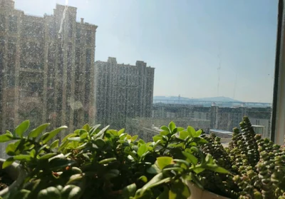 Yantai - Photo 3
