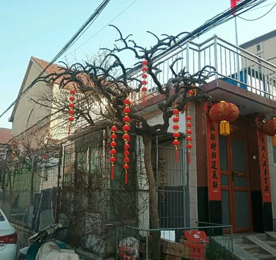 Yantai - Photo 4