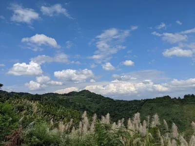 Yizhang County - Photo 3