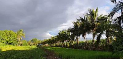 Rajgurunagar - Photo 3