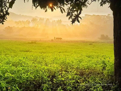 Rajgurunagar - Photo 5