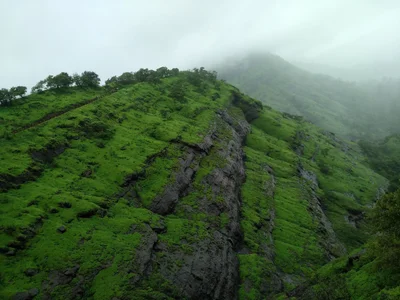 Maldunge - Photo 3