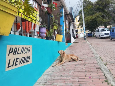 Tibacuy - Photo 3