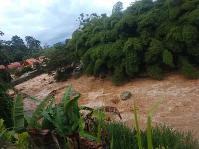 Tibacuy - Photo 4
