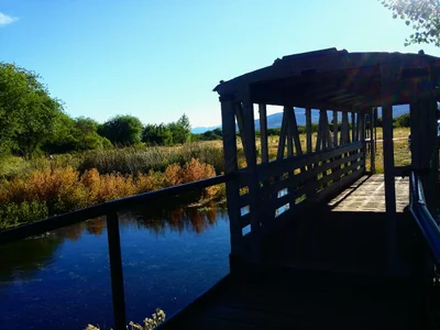 El Maiten - Photo 3