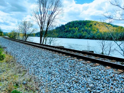 Belle Vernon - Photo 2