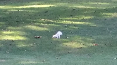 Olney - Photo 3