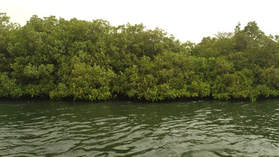 Toubacouta - Photo 3