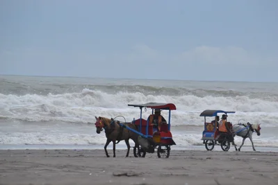 Parangtritis - Photo 3