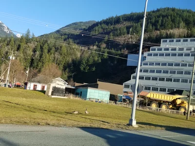 Squamish - Photo 3