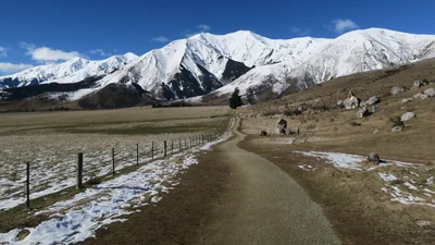 Castle Hill - Photo 4