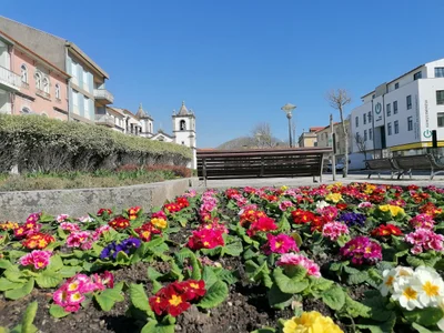 Esposende - Photo 2