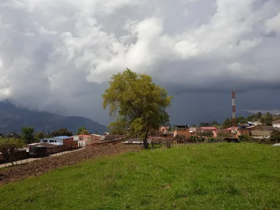 Junin - Photo 4