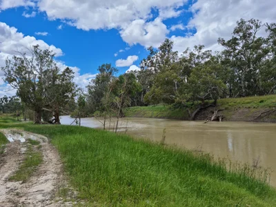Walgett - Photo 2