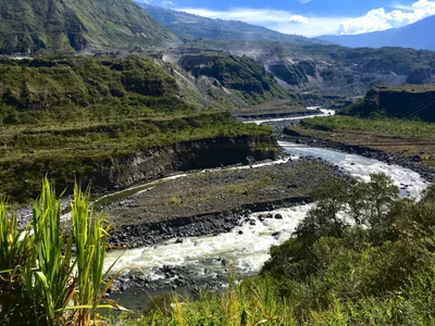 Patate - Photo 2