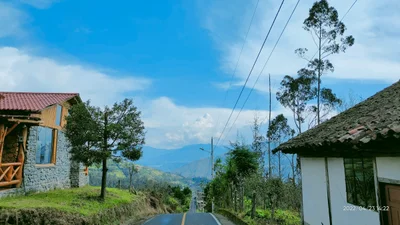 Patate - Photo 4