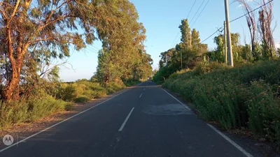 Albardon - Photo 5