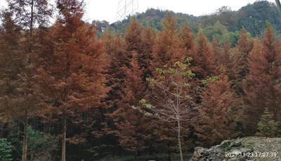 Taojiang County - Photo 4