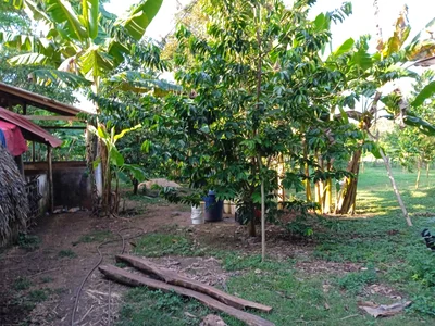 Turbaco - Photo 3