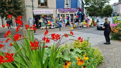 Westport - Photo 2