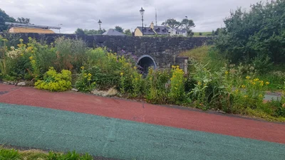 Westport - Photo 4