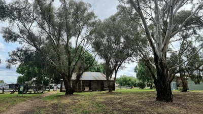 Carisbrook - Photo 2