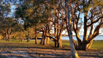Canton Beach - Photo 5