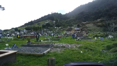 Taupiri - Photo 5