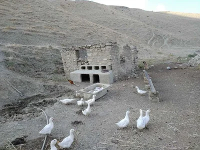 Siyazan - Photo 4